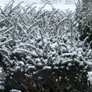 Meet your Posher, Miss